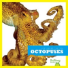 Octopuses by Meister, Cari