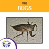 True_Bugs