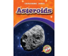 Asteroids by Zobel, Derek