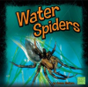 Water Spiders by Mattern, Joanne