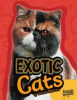 Exotic Cats by Mattern, Joanne