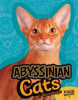Abyssinian Cats by Mattern, Joanne