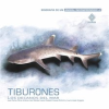 Tiburones__los_decanos_del_mar