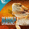 Bearded Dragons by Mara, Wil