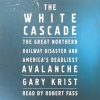 The white cascade by Krist, Gary