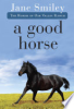A_good_horse
