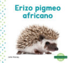 Erizo_pigmeo_africano