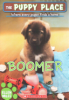 Boomer by Miles, Ellen