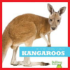 Kangaroos by Schuh, Mari C
