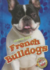 French bulldogs by Schuh, Mari C