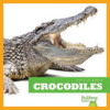 Crocodiles by Meister, Cari