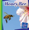 Honey Bee by Marsico, Katie