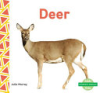 Deer by Murray, Julie