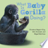 What_is_baby_gorilla_doing_