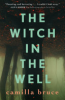The_witch_in_the_well
