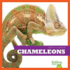 Chameleons by Meister, Cari