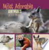 The most adorable animals in the world by Gagne, Tammy