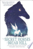The secret horses of Briar Hill by Shepherd, Megan