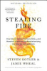 Stealing_fire