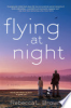 Flying_at_night