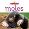 Moles by Riggs, Kate