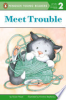 Meet_Trouble