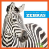 Zebras by Meister, Cari