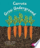 Carrots grow underground by Schuh, Mari C