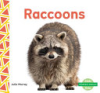 Raccoons by Murray, Julie