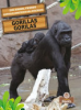 Gorillas = by Culliford, Amy