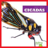 Cicadas by Schuh, Mari C
