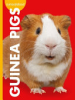 Curious about guinea pigs by Thielges, Alissa