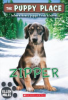 Zipper by Miles, Ellen