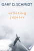 Orbiting Jupiter by Schmidt, Gary D