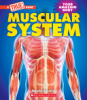 Muscular system by Vizcarra, Natasha