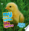 My_little_book_of_life_cycles