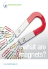 What are Magnets? - Spanish by Visual Learning Systems
