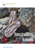 Fascinating Fossils - Spanish by Visual Learning Systems