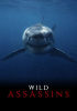Wild_Assassins_-_Season_1