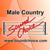 Karaoke - Contemporary Male Country - Vol. 43 by Done Again