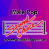 Karaoke - Classic Male Pop Vol. 21 by Done Again