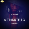 Angel_-_A_Tribute_to_Akon
