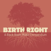 Birthright__A_Black_Roots_Music_Compendium