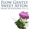 Flow Gently Sweet Afton: Music Of Scotland Volume 12 by Celtic Spirit