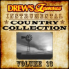 Drew_s_Famous_Instrumental_Country_Collection_Vol__13