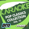 Zoom Karaoke - Pop Classics Collection - Vol. 75 by Zoom Karaoke