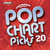 Zoom Karaoke - Pop Chart Picks 20 by Zoom Karaoke
