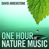 One Hour of Nature Music: For Massage, Yoga and Relaxation by David Arkenstone