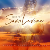 Best Of Sam Levine: Hymns & Gospel Favorites by Sam Levine
