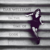 In the time of gods by Williams, Dar